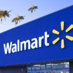 180314-walmart-robot-bees-featureconv
