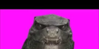 Godzilla: King of Monsters tendrá por lo menos 4 monstruos y una DJ paleobióloga