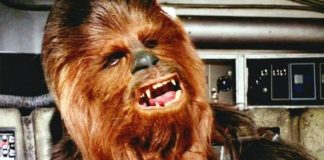 Mi historia con Chewbacca: Una amistad eterna