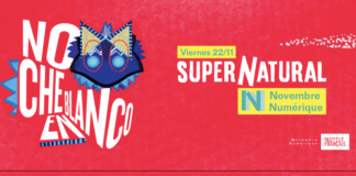 Tanukis tomarán las calles de San José este noviembre en festival de arte digital