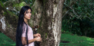 ‘El despertar de las hormigas’ (película costarricense) ha sido nominada a los Premios Goya